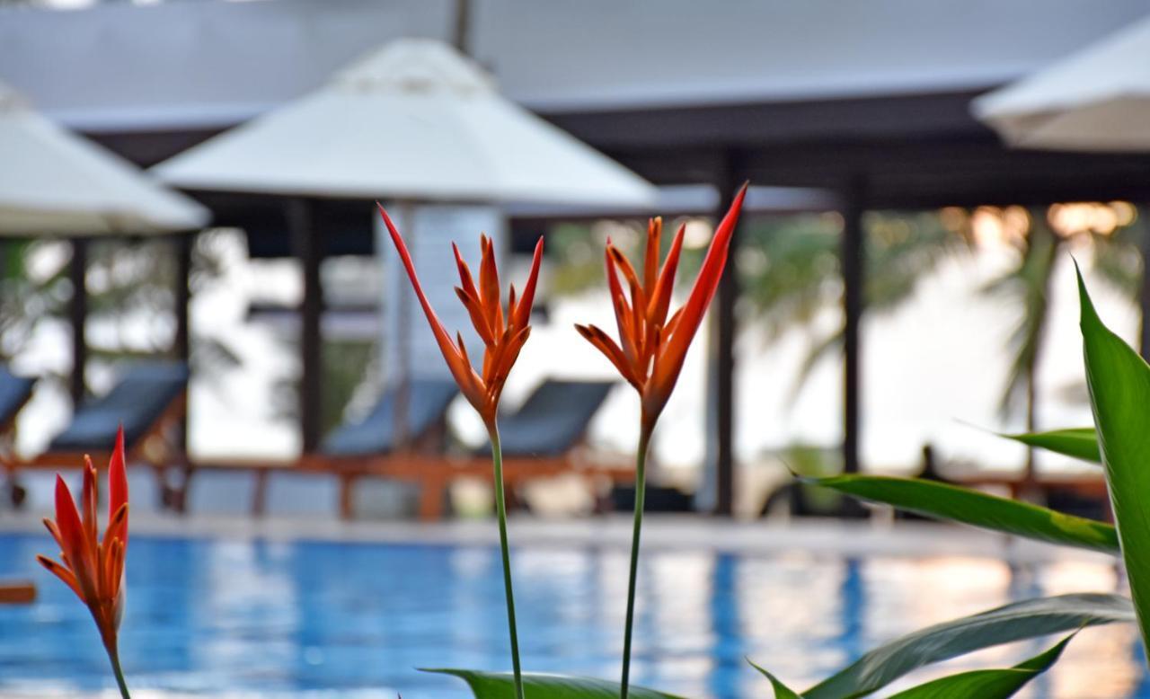 Goldi Sands Hotel Negombo Bagian luar foto